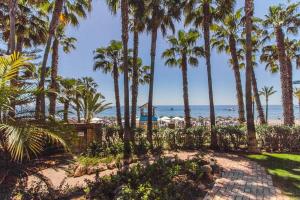 BEACHFRONT GOLDEN MILE PUENTO ROMANO SEA VIEW WIFI