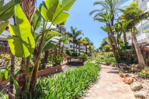 BEACHFRONT GOLDEN MILE PUENTO ROMANO SEA VIEW WIFI