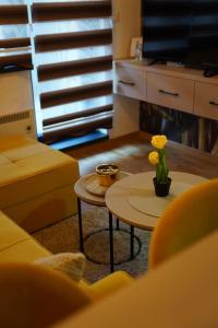 Apartman Istra 3 - Titova Vila