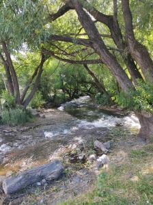 Cabaña soñada sobre el arroyo con dos dormitorios