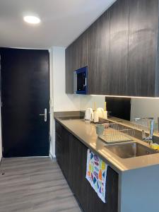 BELLO APARTAMENTO EN SANTIAGO