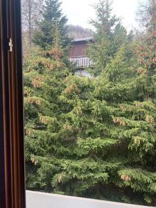 Hotels Les Catrems & Le Montagnou : photos des chambres