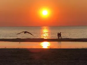 Villa aan Zee - 滨海卡特韦克