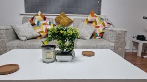 Comfort at Enchanted Dwellings