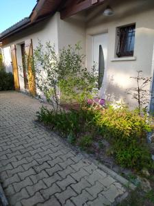 Maisons de vacances Villa Nancea Bassin Arcachon Gujan Mestras : photos des chambres