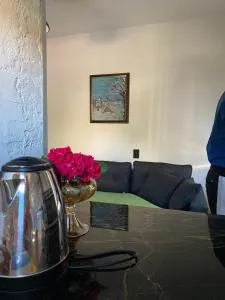 BT Apartments - 斯特鲁米察