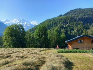 Appartements Appt avec grande terrasse face au Mont-Blanc : photos des chambres