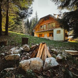 Planinska Kuća u Srcu NP Tara