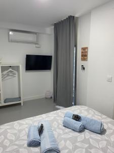 Sotavento Alpisteras