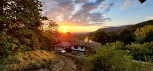 Средище Веди Макрина