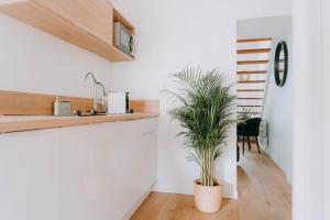 Appart'hotels Apparts' Rennes BnB Duhamel- Centre Gare : Studio Duplex