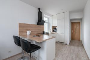 Serene Nemunas River View apartment near McDonald by Polo Apartments