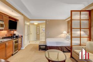 MGM Signature-09-718 Jacuzzi Studio