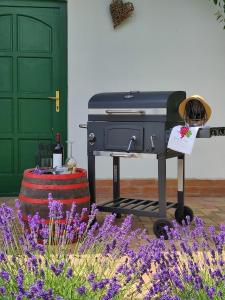 Szőlőhegyi házikó - Cottage in the vineyard