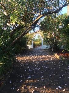 Hotels Hotel Paradis : photos des chambres