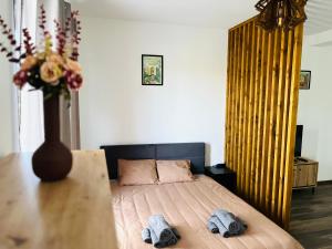 Apartament Studio BiAn