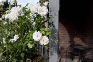 Classic Cottage: Near CBD Hospital & Parking