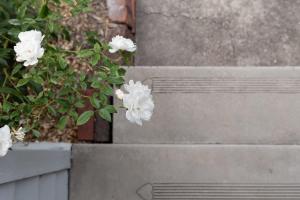 Classic Cottage: Near CBD Hospital & Parking