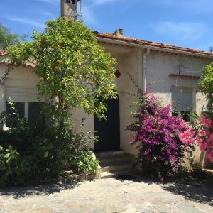 Hotels Hotel Paradis : Chambre Familiale Classique 