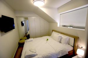 Central Luxury Flat 1