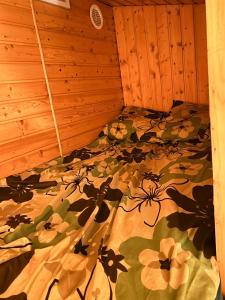 AGROTURYSTYKA WIOSNA