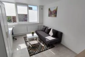 Light and useful stay - Domeikava