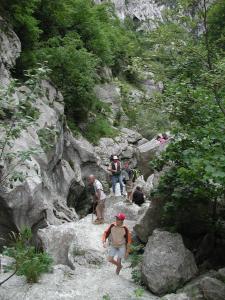 Hotels Hotel des Alpes : photos des chambres