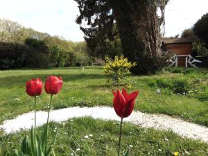 Villas Simple cottage bucolique au calme : photos des chambres
