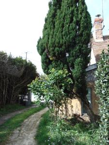 Villas Simple cottage bucolique au calme : photos des chambres