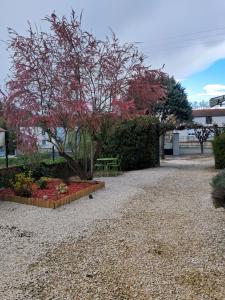 Maisons de vacances Le val mousset : photos des chambres
