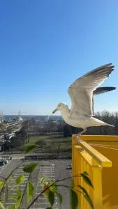 Gdynia Skwer Kosciuszki - Święty Jan