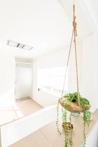 Mortimers Wines Loft - Adults Only Retreat