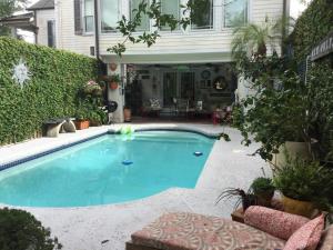 Cozy apartment in the Marigny