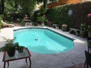 Cozy apartment in the Marigny