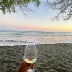 Villas Modernas en Playa Palenque @drvacationsrental - Hatillo