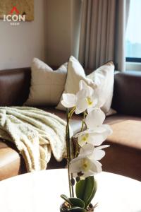 Centric studio in Miraflores