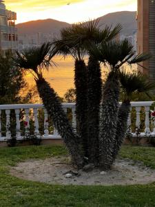 Blue Big Lagoon Trinisol2