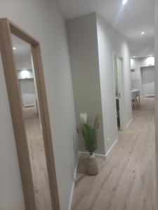 Casinha de Santo Amaro