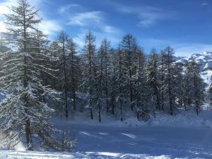 Chalets Home Vars : photos des chambres