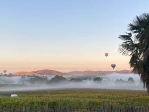 Mount Hope Estate Vineyard