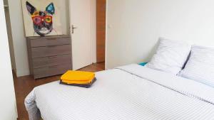 Appartements La Chatillonnaise Balcon et Parking, Contrat Mobilite : photos des chambres