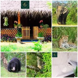 Neembuva Resort - Kala Oya