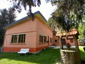 Holiday home in Saint Quirin with garden - Luvigny