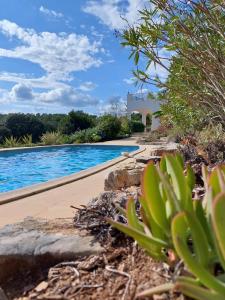 Maisons de vacances Villa Quadrille : photos des chambres