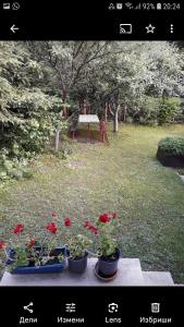 Apartman Jorgovan