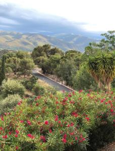 Château de la Sybille, vue imprenable sur le Canigou et les Orgues dIlle sur Têt