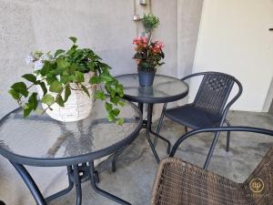 Apartment Saria Strunjan