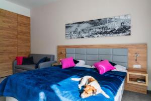 Apartament Folgaria - Aparthotel Panorama Czarna Góra