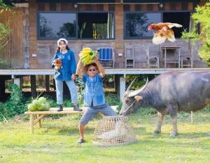 Hang Tueng farm stay Chiang Mai แฮงตึง ฟาร์มสเตย์ เชียงใหม่ - Ban Rong