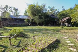 Hang Tueng farm stay Chiang Mai แฮงตึง ฟาร์มสเตย์ เชียงใหม่
